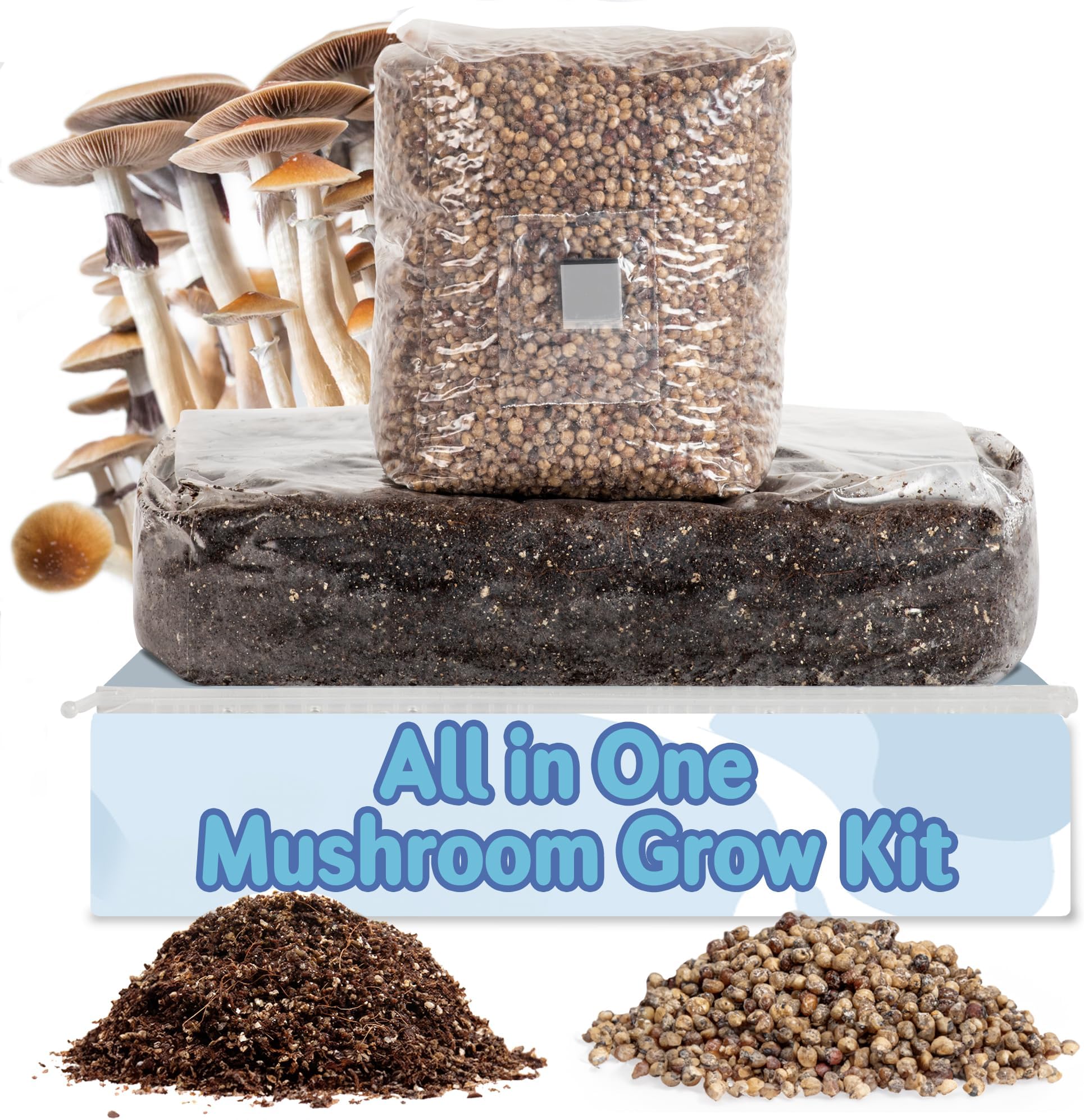Mushroom Grow Kit